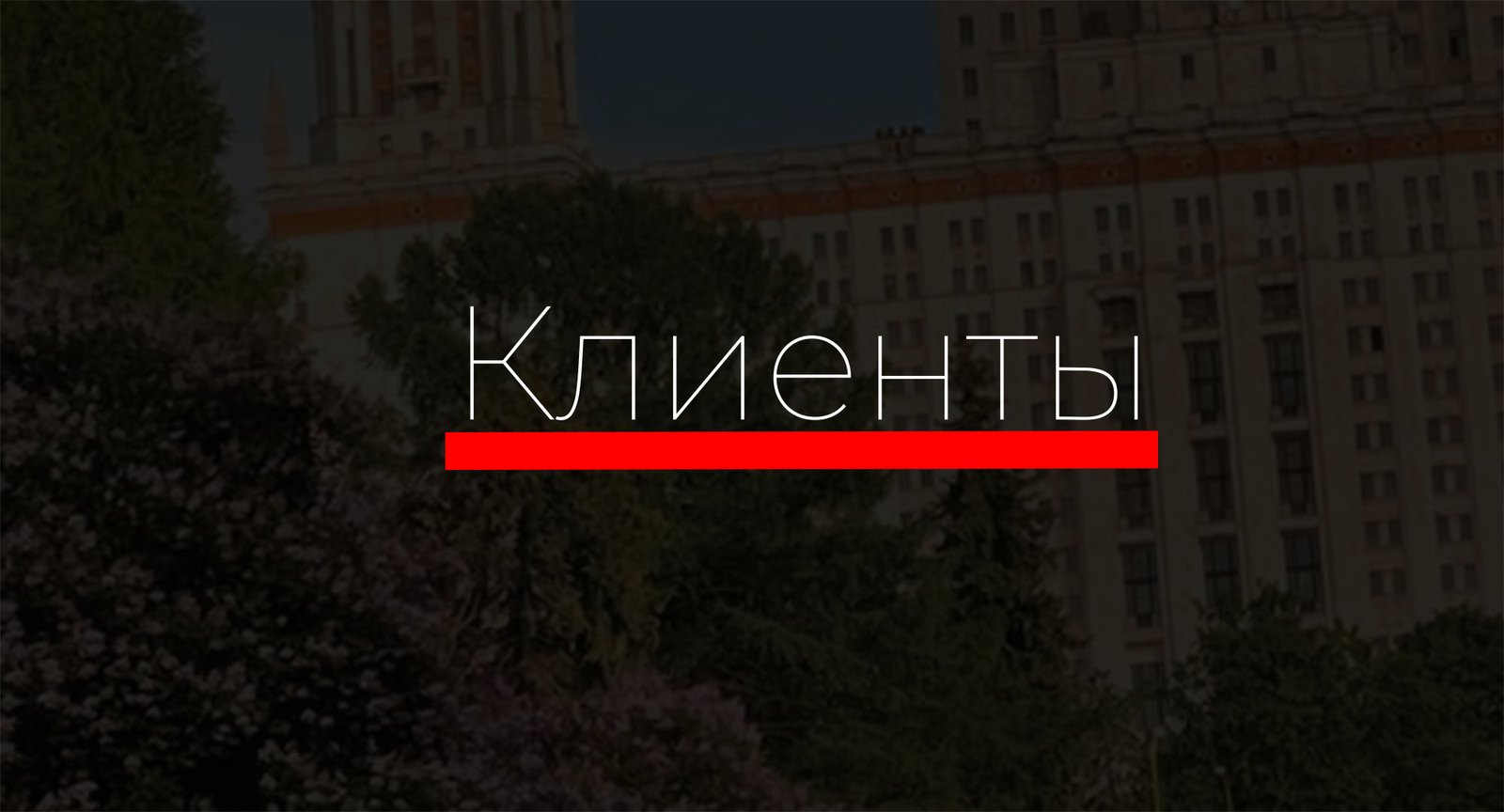 Опыт и кейсы