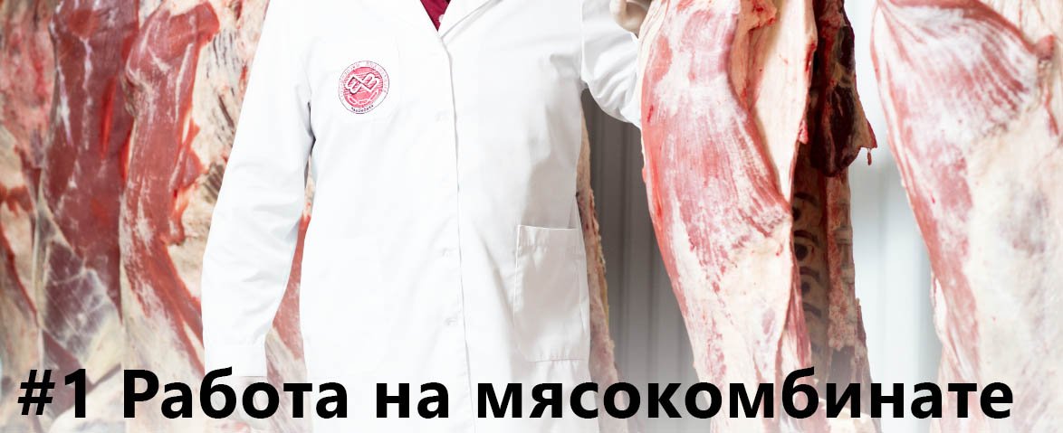 Работа на мясокомбинате в Польше